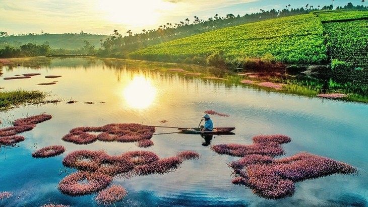 Vẻ đẹp hồ tảo hồng ở Lâm Đồng - ảnh 1