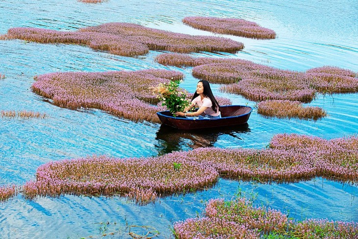 Vẻ đẹp hồ tảo hồng ở Lâm Đồng - ảnh 6