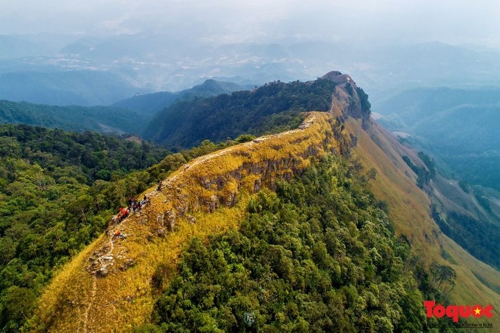 Khám phá núi Phia Po, Lạng Sơn - ảnh 2