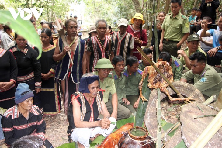 Lời hứa bảo vệ rừng trong nghi lễ truyền thống của người Jrai - ảnh 5
