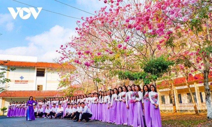 Rộ đường hoa kèn hồng đẹp tựa Hàn Quốc ở miền Tây - ảnh 12