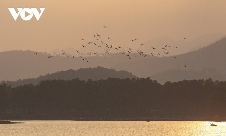 Bình yên những cánh cò trắng giữa lòng hồ Yên Trung, Quảng Ninh - ảnh 12