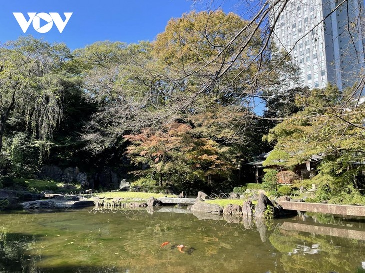 Chiêm ngường cảnh sắc mùa thu tuyệt đẹp ở Nhật Bản - ảnh 11