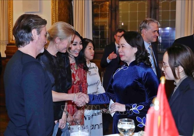 Phó Chủ tịch nước dự kỷ niệm 10 năm thiết lập quan hệ Việt Nam - Đan Mạch - ảnh 1