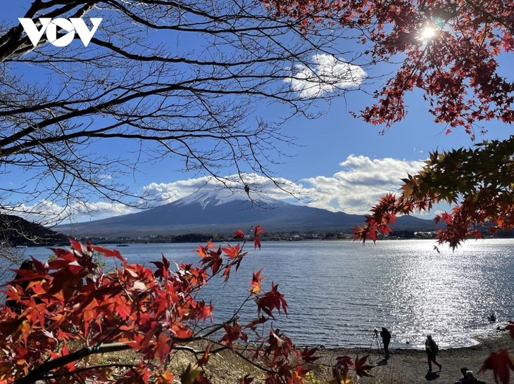 Chiêm ngường cảnh sắc mùa thu tuyệt đẹp ở Nhật Bản - ảnh 1