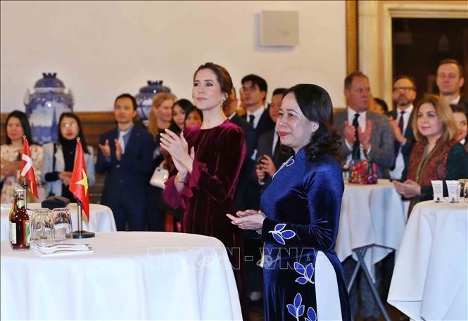 Phó Chủ tịch nước dự kỷ niệm 10 năm thiết lập quan hệ Việt Nam - Đan Mạch - ảnh 3