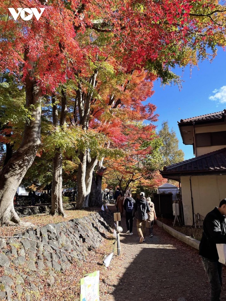 Chiêm ngường cảnh sắc mùa thu tuyệt đẹp ở Nhật Bản - ảnh 4