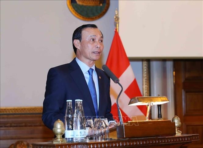 Phó Chủ tịch nước dự kỷ niệm 10 năm thiết lập quan hệ Việt Nam - Đan Mạch - ảnh 5