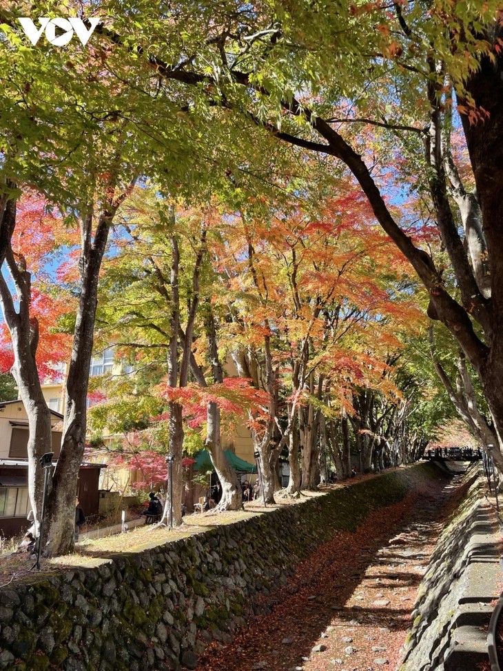Chiêm ngường cảnh sắc mùa thu tuyệt đẹp ở Nhật Bản - ảnh 6