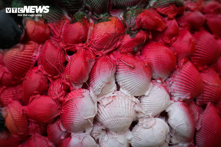 Chiêm ngưỡng cây thông Noel làm từ 100.000 vỏ sò ở Hà Tĩnh - ảnh 10