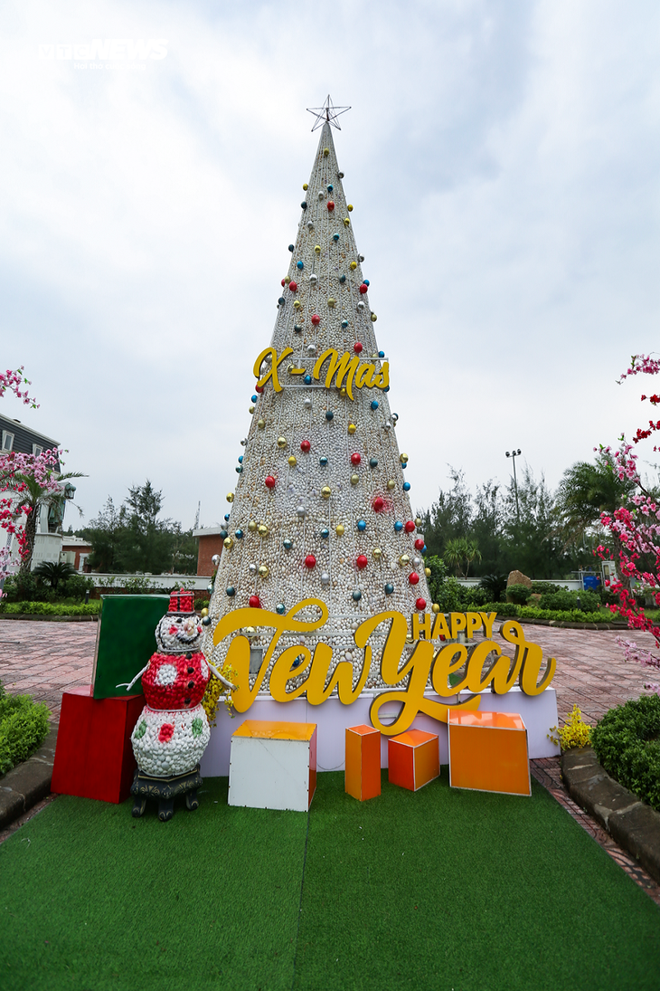 Chiêm ngưỡng cây thông Noel làm từ 100.000 vỏ sò ở Hà Tĩnh - ảnh 12