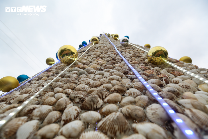 Chiêm ngưỡng cây thông Noel làm từ 100.000 vỏ sò ở Hà Tĩnh - ảnh 5