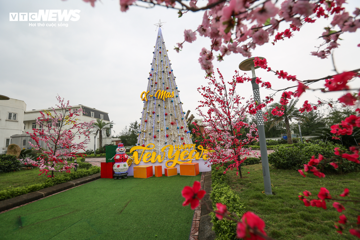 Chiêm ngưỡng cây thông Noel làm từ 100.000 vỏ sò ở Hà Tĩnh - ảnh 7