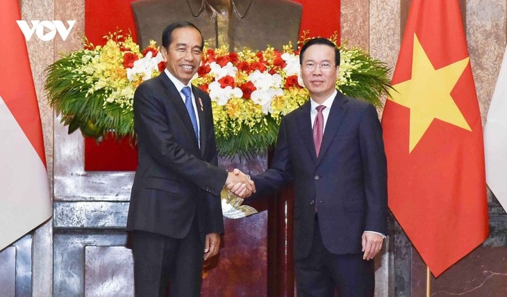 Toàn cảnh lễ đón Tổng thống Indonesia thăm cấp Nhà nước tới Việt Nam - ảnh 5