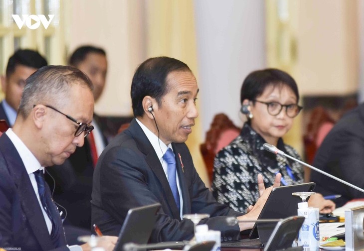 Toàn cảnh lễ đón Tổng thống Indonesia thăm cấp Nhà nước tới Việt Nam - ảnh 8
