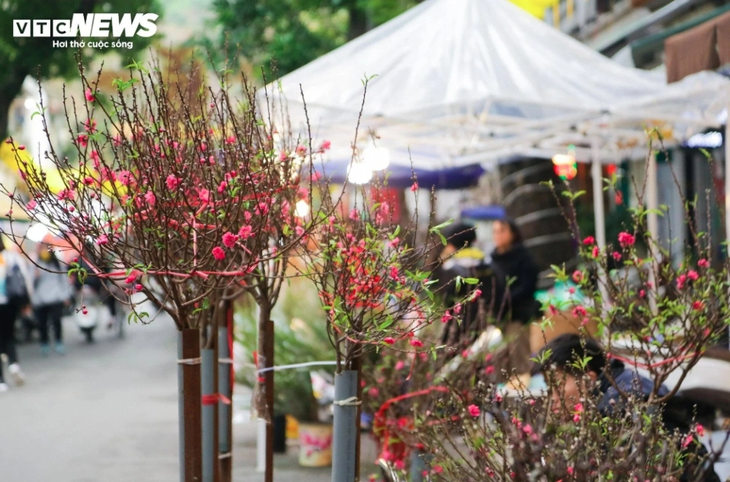 Người Hà Nội tấp nập đi chợ hoa Hàng Lược trước Tết ông Táo - ảnh 6