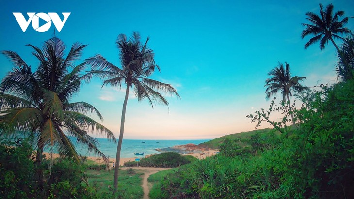 Khám phá Sa Huỳnh – nơi có bãi biển đẹp nhất Quảng Ngãi - ảnh 8