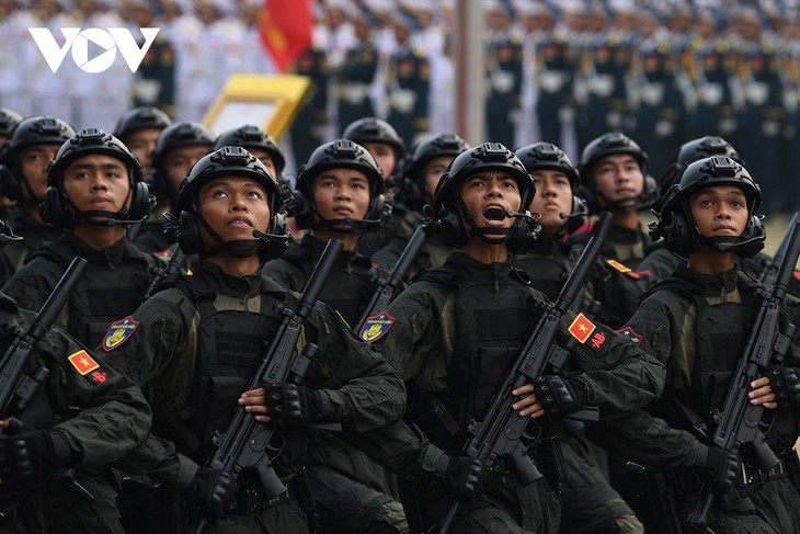 Tổng duyệt kỷ niệm, diễu binh, diễn hành 70 năm Chiến thắng Điện Biên Phủ - ảnh 11