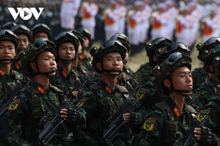 Tổng duyệt kỷ niệm, diễu binh, diễn hành 70 năm Chiến thắng Điện Biên Phủ - ảnh 16