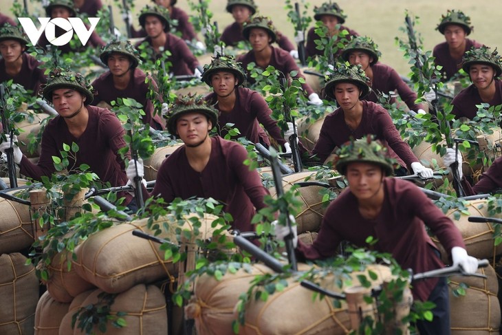 Tổng duyệt kỷ niệm, diễu binh, diễn hành 70 năm Chiến thắng Điện Biên Phủ - ảnh 8