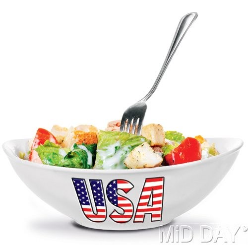 US Culure: Melting pot or Salad Bowl - ảnh 1