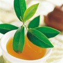 ベトナム茶の商標づくり - ảnh 1