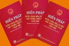 92年憲法改正案に関心を寄せる在仏ベトナム人 - ảnh 1