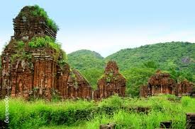 ベトナムの魅力的な観光スポット・ミーソン遺跡群 - ảnh 1