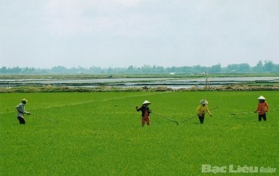 バクリュウ省フォクロン県の新農村作り - ảnh 2