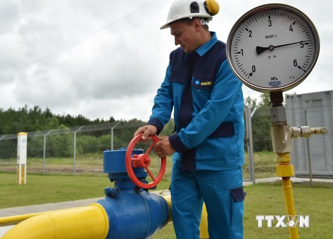 露ウクライナ、ガス問題「いくつかの重要な進展」 ２９日に再協議 - ảnh 1
