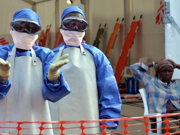 リベリアでエボラ新規感染のペース鈍化、ＷＨＯは引き続き警戒 - ảnh 1