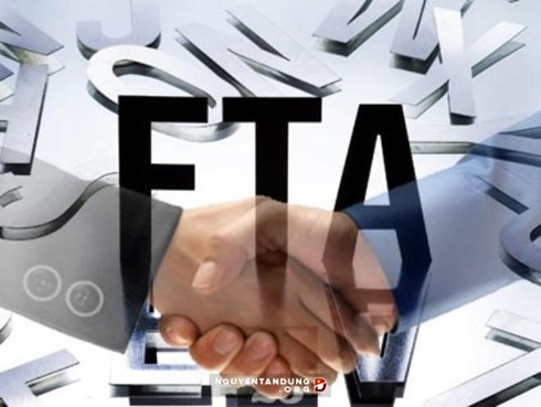 FTA 加盟と市場再構築 - ảnh 1