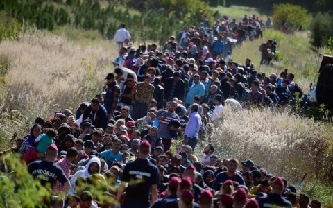欧州の難民危機をめぐる問題 - ảnh 1