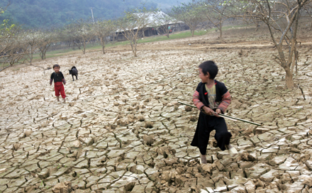 気候行動への対応のため各国と協力するベトナム - ảnh 1