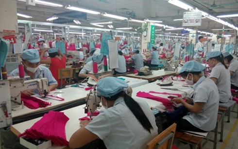 TPPへの加盟に取り組む紡績縫製部門 - ảnh 1