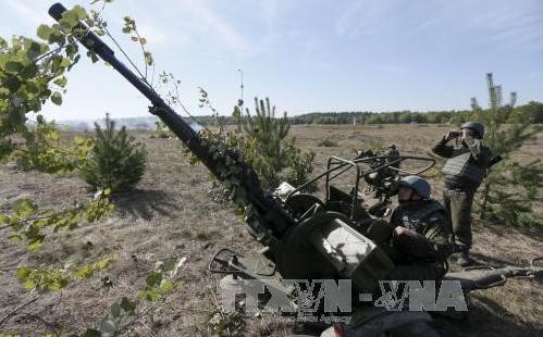 三者グループ、ウクライナ紛争停戦を呼びかけ - ảnh 1