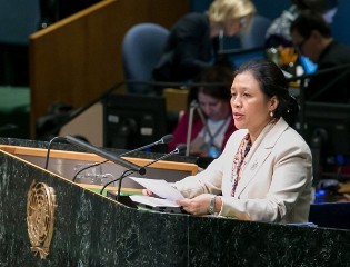 ベトナムの国連大使、支援国に発展の為の援助継続を呼び掛ける - ảnh 1