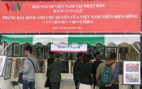 ベトナムフェスタで「ベトナムの領有権を裏付ける証拠」展示会 - ảnh 1