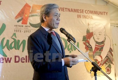 在印ベトナム大使館、越印国交樹立45周年記念式典を行う - ảnh 1