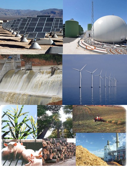 ベトナムの再生エネルギーの開発 - ảnh 1