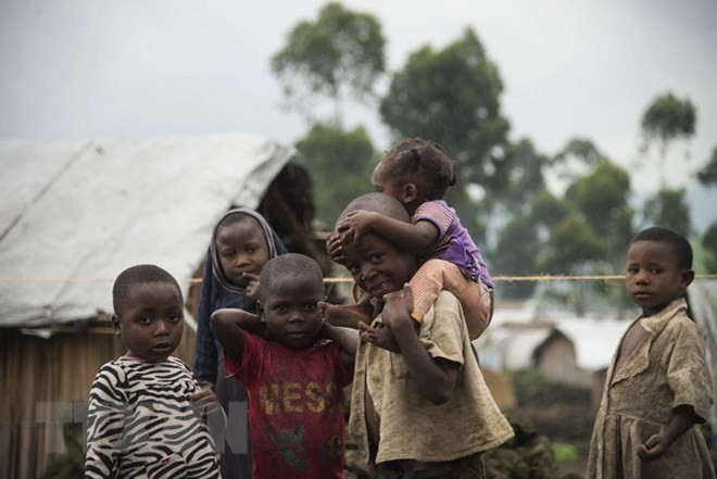 コンゴで、子ども40万人の餓死 - ảnh 1