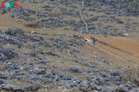 ハザン省のドンバン岩石高原・メオバックへの探検 - ảnh 2