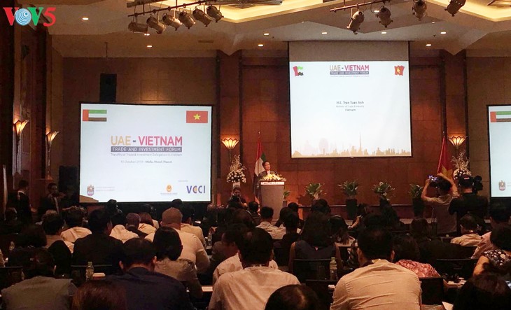 ベトナム、UAEとの貿易投資協力を推進 - ảnh 1