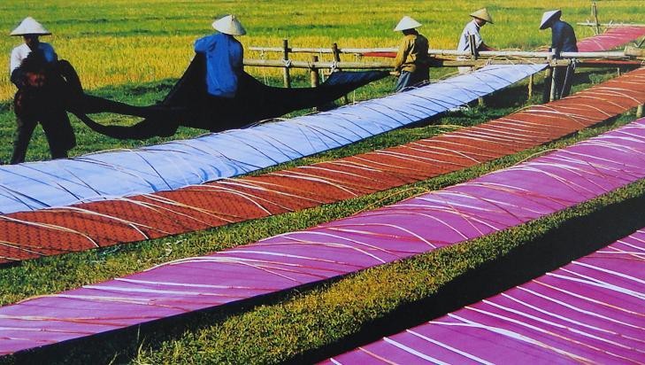 ベトナムのシルク産業 - ảnh 1