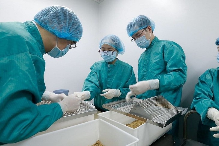  新型コロナワクチン生産で、ネズミ実験に成功したベトナム - ảnh 1