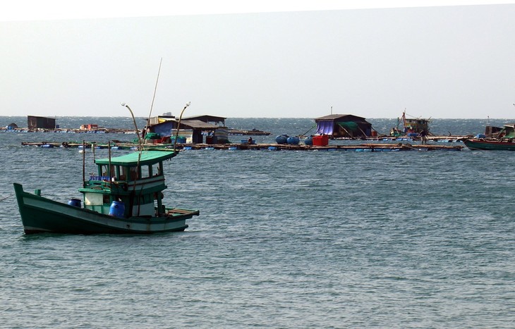 ベトナム、グリーン海洋経済パートナーグループの設立を目指す - ảnh 1
