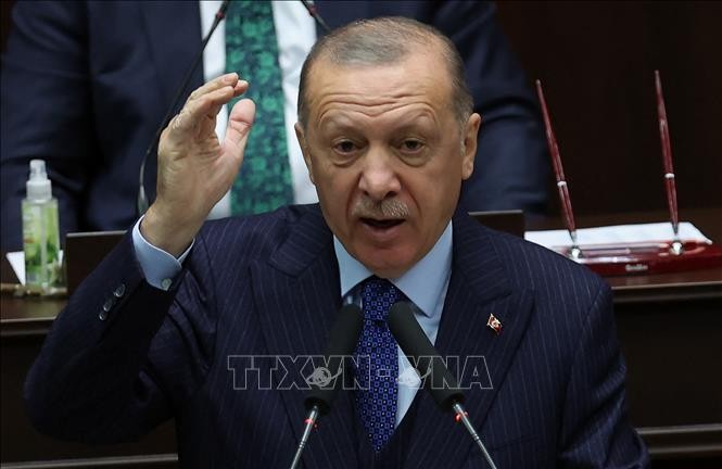 トルコ大統領 欧米など10か国の大使を国外退去処分と警告 - ảnh 1