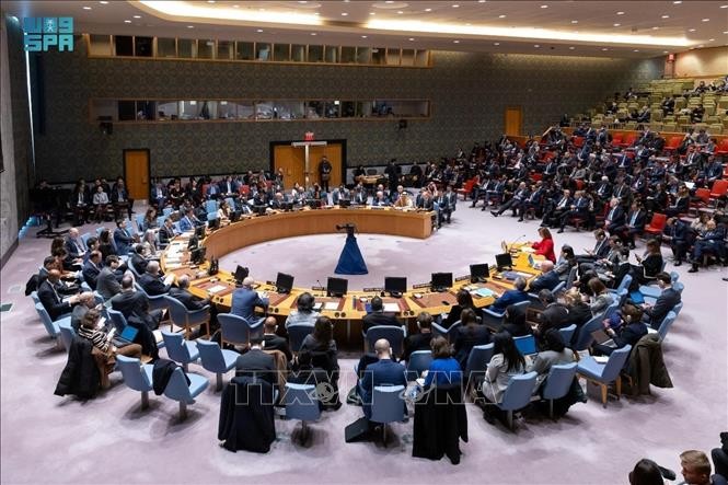 国連安保理のガザ支援巡る決議案、採決は21日に再延期＝外交筋 - ảnh 1