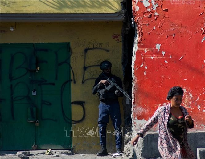 ハイチ、政権移行へ評議会 ギャング支配で治安悪化 - ảnh 1