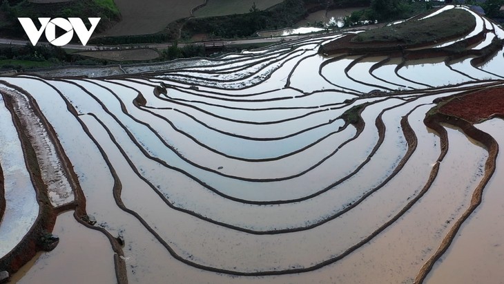 「棚田に水が張られる季節」にあるムーカンチャイ県 - ảnh 1